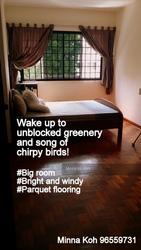 Blk 555 Hougang Street 51 (Hougang), HDB 5 Rooms #117591092